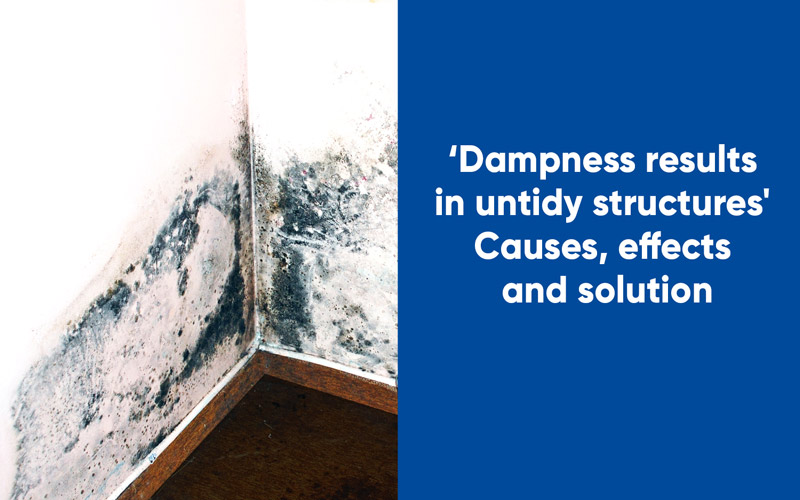 Dampness results in untidy structures- Causes, effects and solution